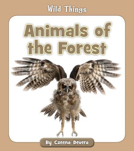 Animals of the Forest