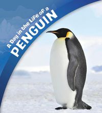 Cover image for A Day in the Life of a Penguin