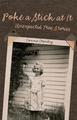 Cover image for Poke a Stick at It: Unexpected True Stories