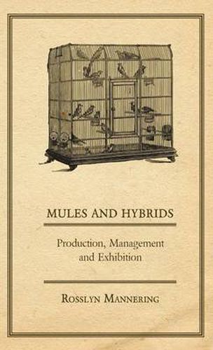 Cover image for Mules and Hybrids - Production, Management, & Exhibition