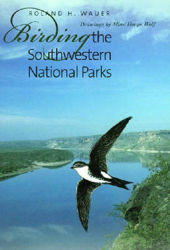 Cover image for Birding the Southwestern National Parks