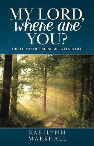 Cover image for My Lord, Where are You?: Thirty Days of Finding Miracles in Life