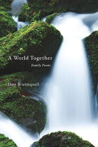 Cover image for A World Together