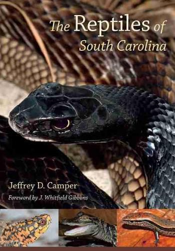 Cover image for The Reptiles of South Carolina