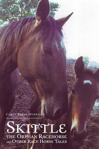 Cover image for Skittle, the Orphan Racehorse, and Other Race Horse Tales