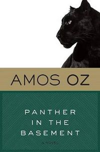 Cover image for Panther in the Basement