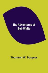 Cover image for The Adventures of Bob White