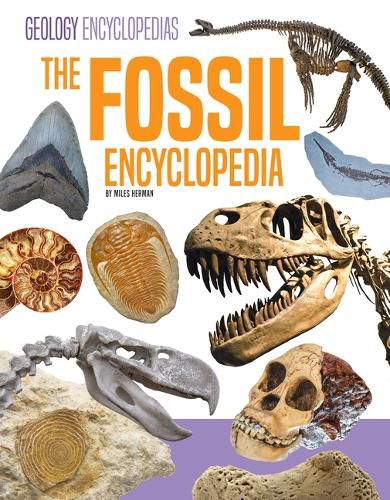 Cover image for Fossil Encyclopedia