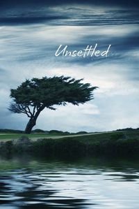 Cover image for Unsettled