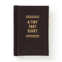 Cover image for A Tiny Fart Diary