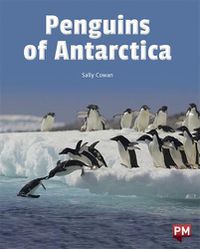 Cover image for Penguins of the Antarctica