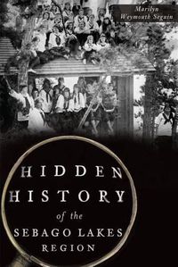 Cover image for Hidden History of the Sebago Lakes Region