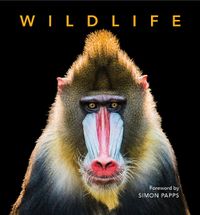 Cover image for Deluxe Wildlife