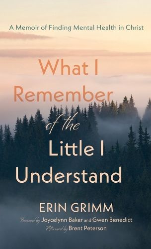 Cover image for What I Remember of the Little I Understand