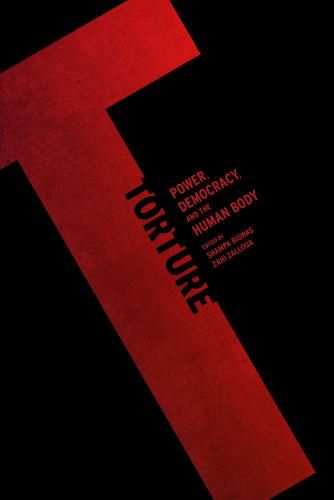 Cover image for Torture: Power, Democracy, and the Human Body