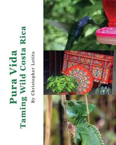 Cover image for Pura Vida