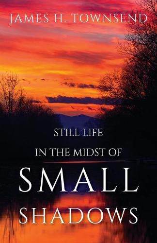 Cover image for Still Life in the Midst of Small Shadows