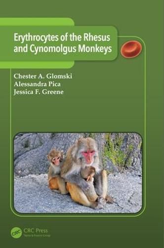 Cover image for Erythrocytes of the Rhesus and Cynomolgus Monkeys