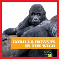 Cover image for Gorilla Infants in the Wild