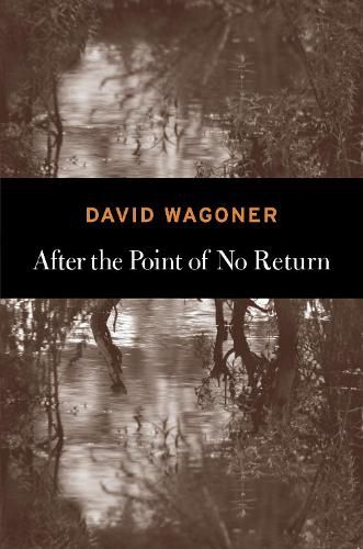 Cover image for After the Point of No Return