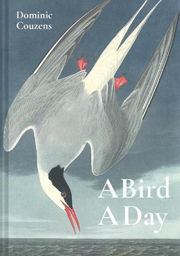 Cover image for A Bird A Day