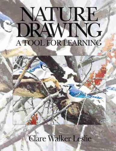 Cover image for Nature Drawing: A Tool for Learning