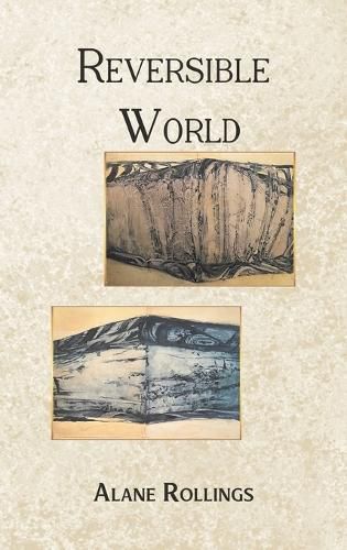 Cover image for Reversible World