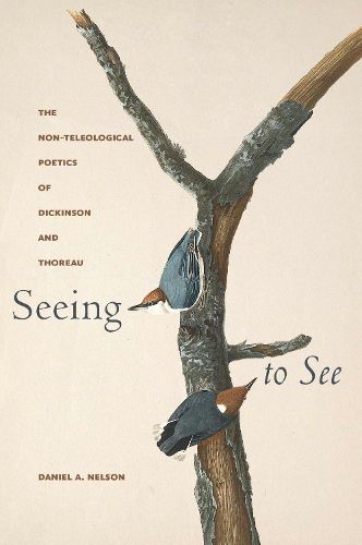 Cover image for Seeing to See