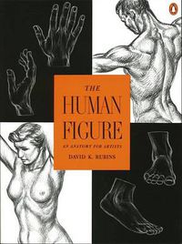 Cover image for The Human Figure: An Anatomy for Artists