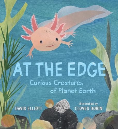 Cover image for At the Edge: Curious Creatures of Planet Earth