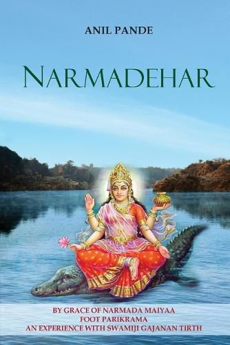 Cover image for Narmadehar