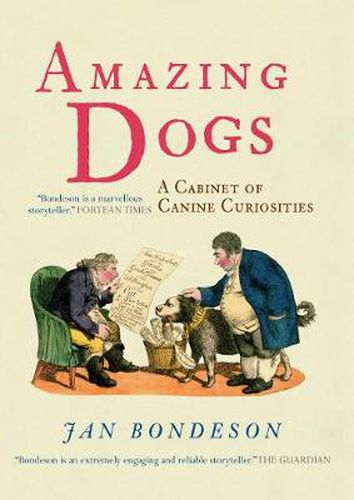 Cover image for Amazing Dogs: A Cabinet of Canine Curiosities