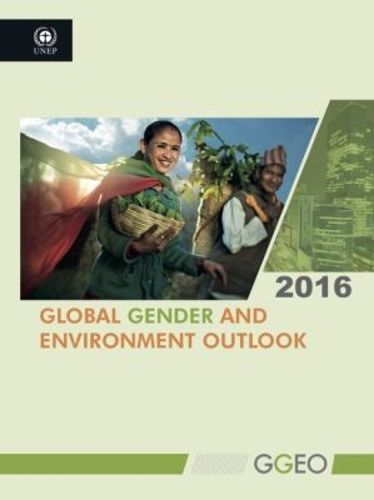 Cover image for Global gender and environment outlook 2016