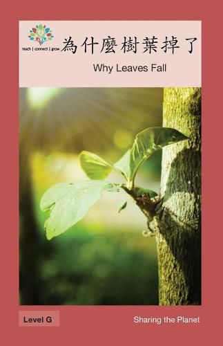 &#28858;&#20160;&#40636;&#27193;&#33865;&#25481;&#20102;: Why Leaves Fall