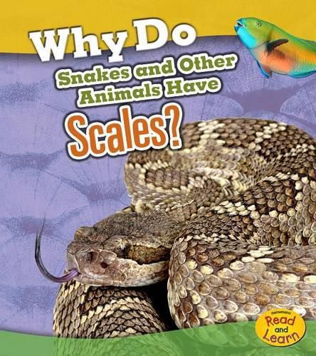 Cover image for Why Do Snakes and Other Animals Have Scales? (Animal Body Coverings)