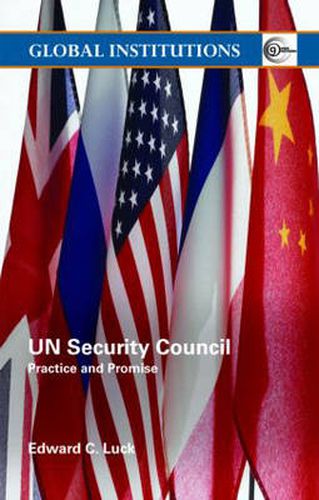 Cover image for UN Security Council: Practice and Promise