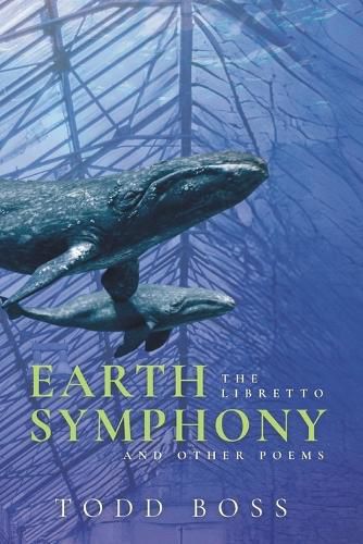 Cover image for Earth Symphony