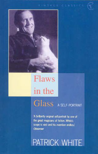 Cover image for Flaws in the Glass