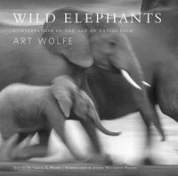 Cover image for Wild Elephants