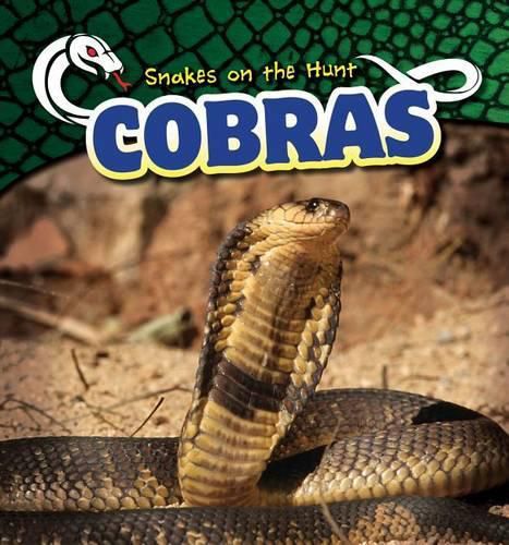 Cover image for Cobras