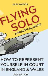 Cover image for Flying Solo