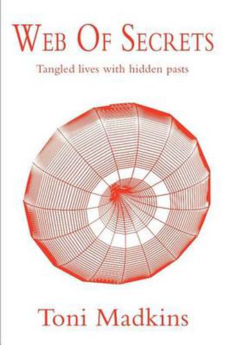 Cover image for Web of Secrets: Tangled Lives with Hidden Pasts