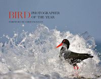 Cover image for Bird Photographer of the Year: Collection 5
