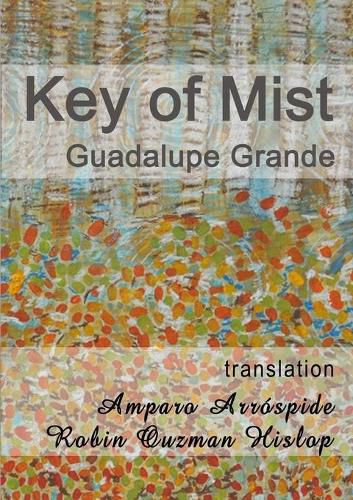 Cover image for Key of Mist