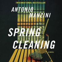 Cover image for Spring Cleaning