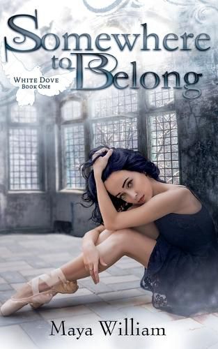 Cover image for Somewhere to Belong