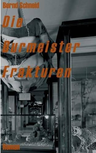 Cover image for Die Burmeister Frakturen