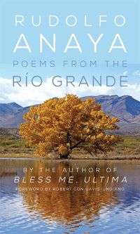 Cover image for Poems from the Rio Grande