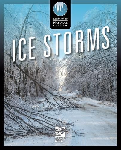 Cover image for Ice Storms