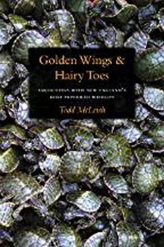 Cover image for Golden Wings & Hairy Toes